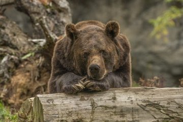 Санкт-Петербург: Добрые новости недели